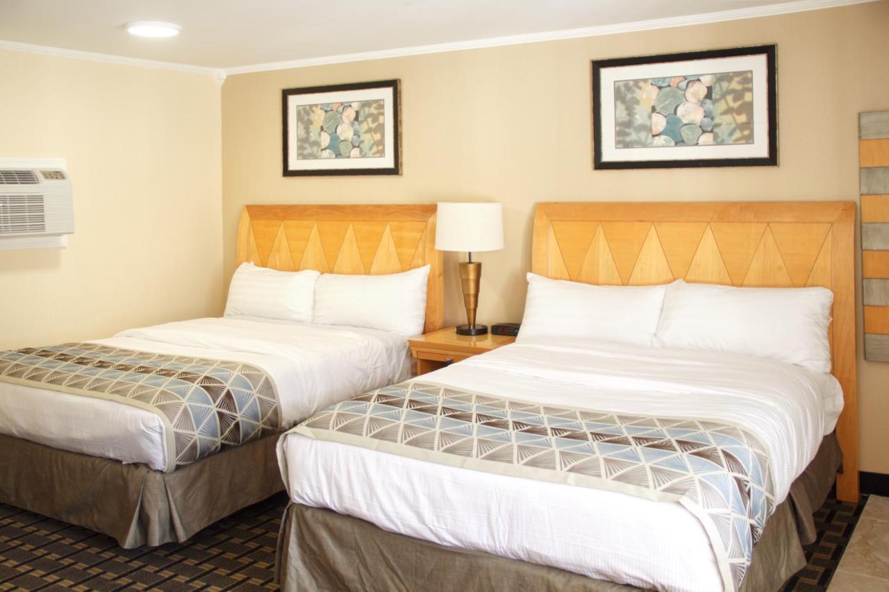 Mount Royal Inn Adams 外观 照片